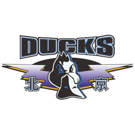 斯特拉斯堡